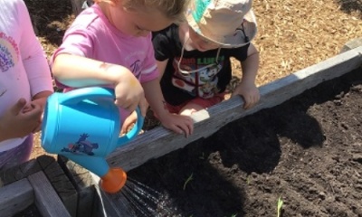 Planting Popcorn! 