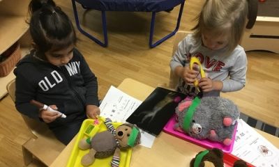 Preschool 1's Pet Clinic