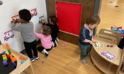 Exploring Colours, Animals, and Textures Through Play