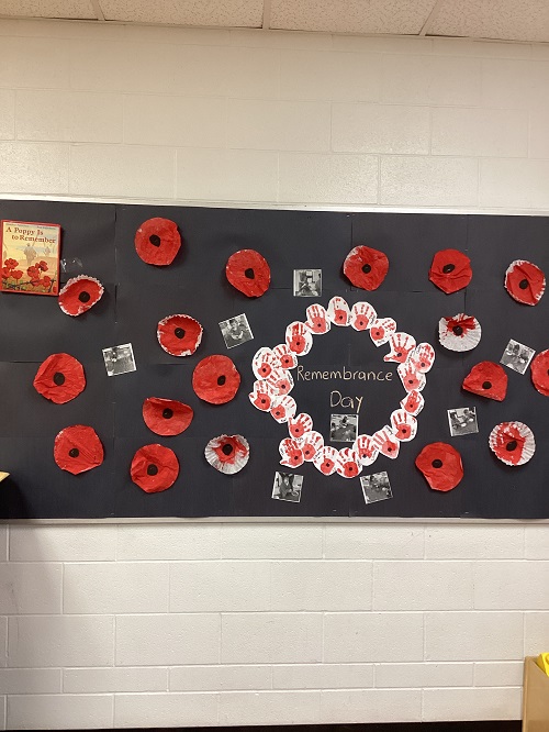 display board of poppy created by the children