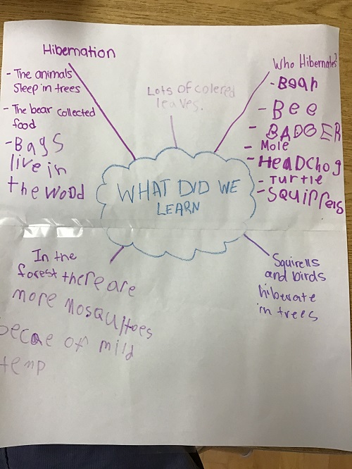 Chart paper with a "what did we learn" diagram on it about what the children learned about Hibernation.