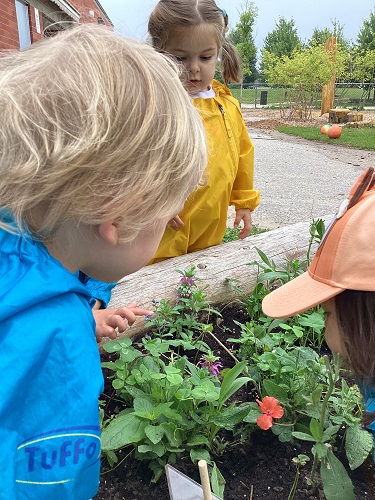 Toddlers exploring garden plants