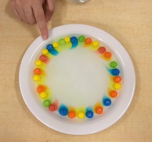 A circle of Skittles on a plate with the colours beginning to bleed from the candy