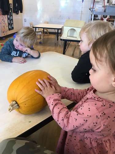 Children rolling a pumpkin around a table