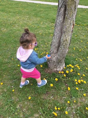 A child walking towards a tree
