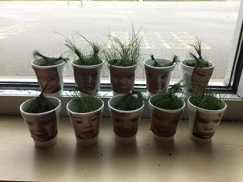 Cups with children's faces and filled with grass lined up on the window sill