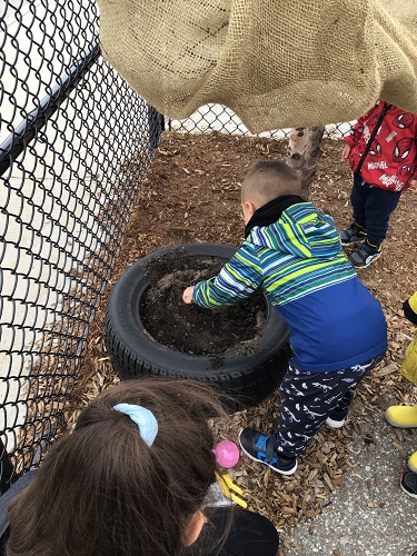 A child planting seeds into a tire planter