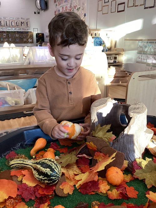 A preschool child exploring a tuff tray of pumpkins and gourds