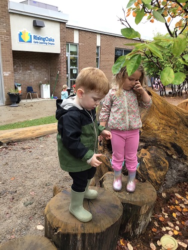 2 Preschool children standing on logs looking down at the ground covered in leaves