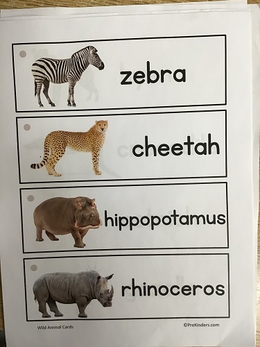 poster with zebra, cheetah, hippo, and rhino with the picture of the animal and the name beside