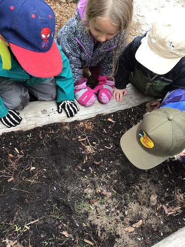 4 preschool children crouched outside of the garden looking in