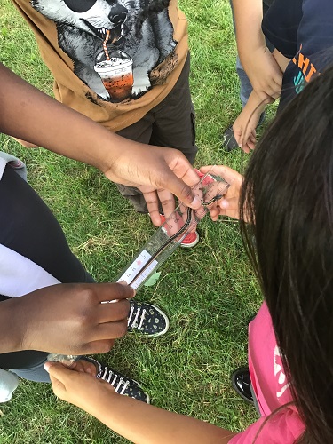 2 School Age children holding a snake straight ontop of a ruler, 2 other School Age children observing