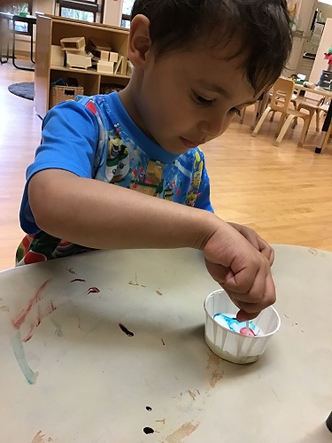 A preschooler is dropping different coloured food colouring into some milk with a small dropper.