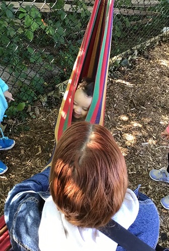 An infant is sitting in the hammock that he has pulled around him so you can only see this head.