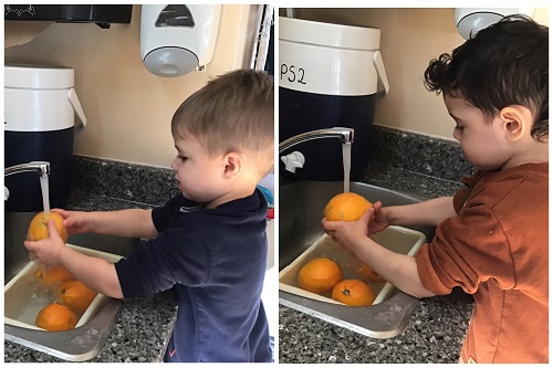 Preschoolers are washes the oranges before making the orange juice.