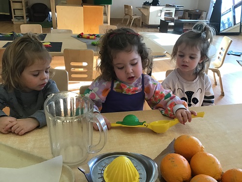 A preschooler is using an orange juicer to get the juice out of an orange.