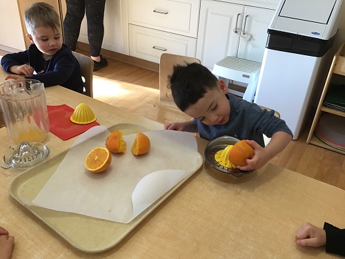 A preschooler is using an orange juicer to get the juice out of an orange.