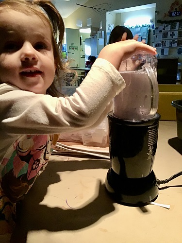 A preschooler is using a blender to make lavender pulp.