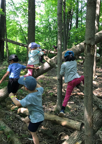 children climbing logs and branches