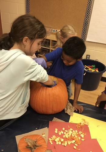 2 school-age children scooping out pumpkin