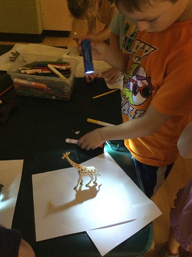 School age boy exploring animals shadows 