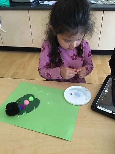 Preschool girl creating caterpillar out of pom poms 