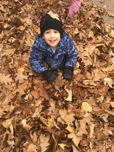 Preschool boy in leaf pile 