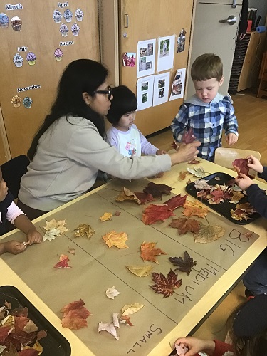 Educator and children sorting leaves 