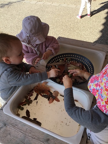 Toddlers exploring acorns in sensory bin