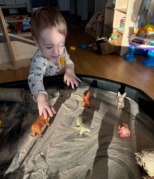 A child exploring with animals in the sand.