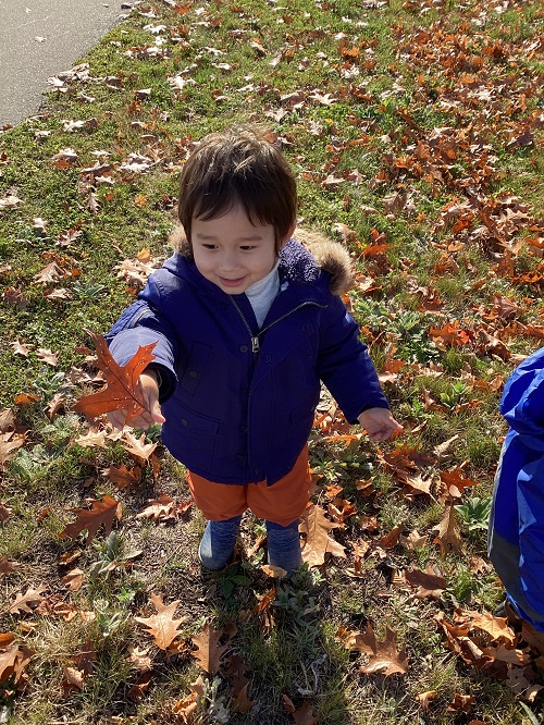 A child holding up a leaf.