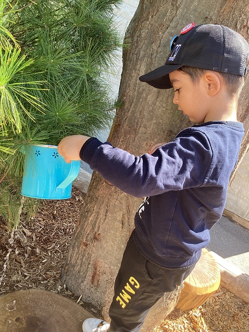 A child using a watering can to water a tree