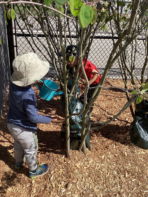 A child watering a tree with a watering can