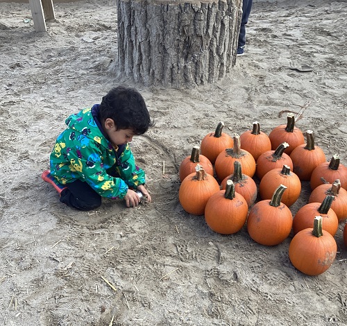 A child sitting in front of pumpkins.