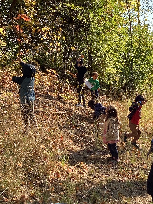 A group of children exploring a forest.