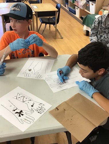 Children learning how to draw with Henna on paper