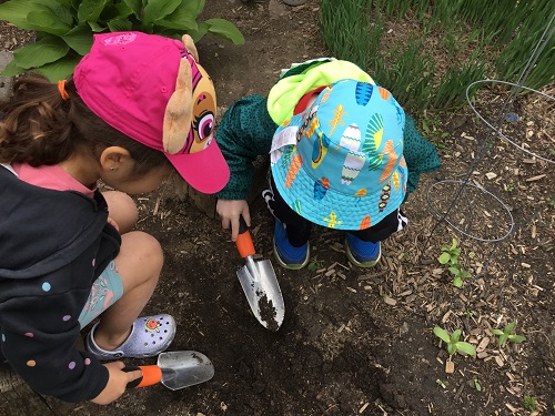 Children digging a hole to plant seeds