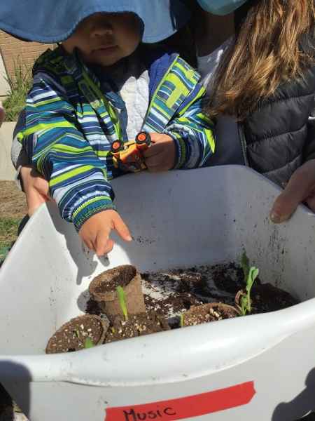 toddler pointing to a plant in a bin with other plants
