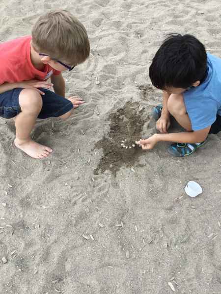 boys making a rock design in the sand