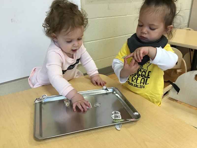 infants observing images on cut up pieces of paper