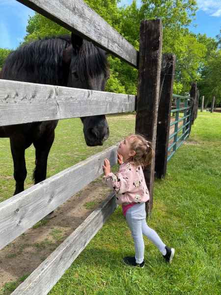 girl smiles as she greets a horse on the other side of the fence