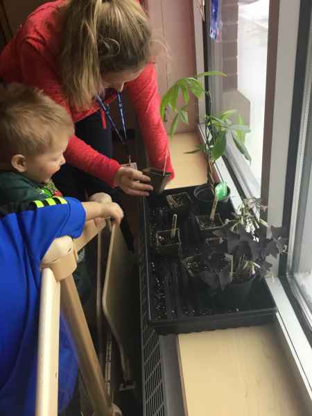 toddler planting seeds with their educator