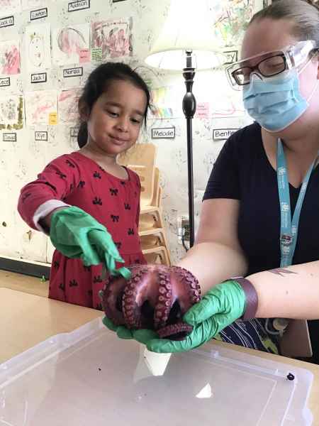 girl touching octapus with gloved hands