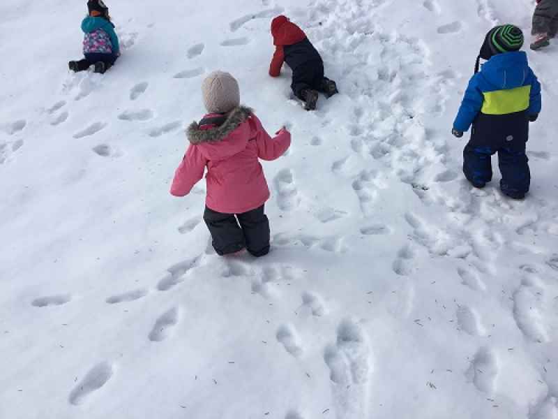 children playing in the snow