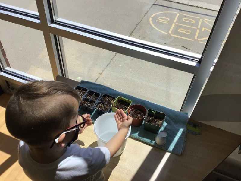 boy planting seeds in several pots in the classroom