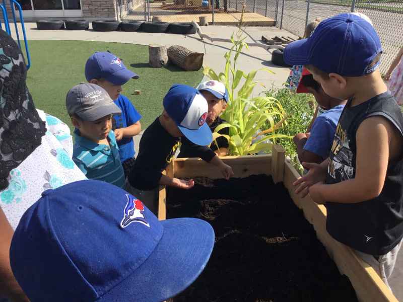 children planting seeds in the their garden