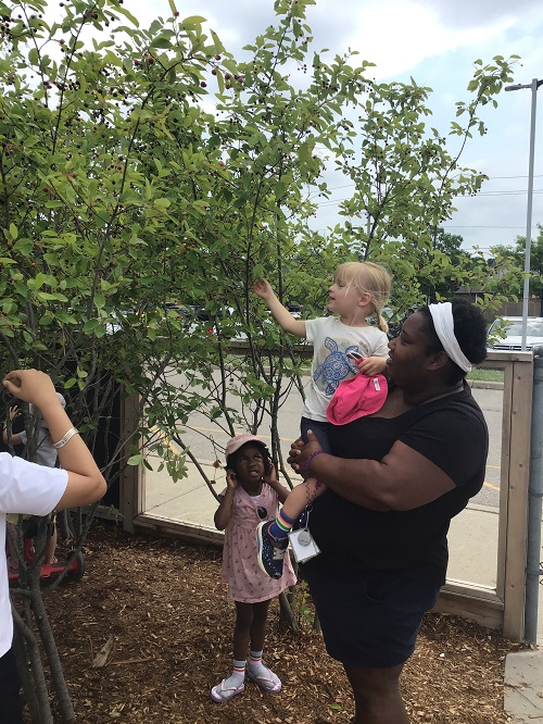 as educator lifting up a child to reach the berries