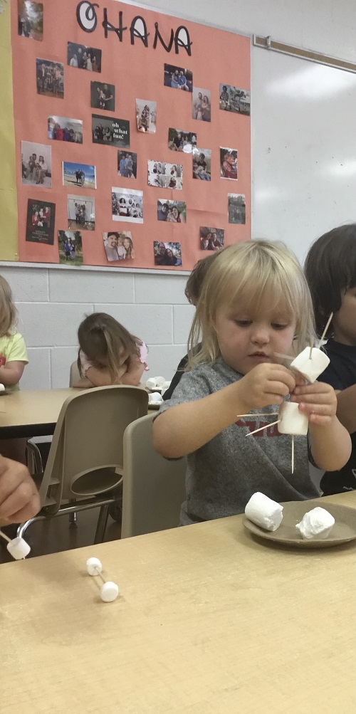 child placing marshmallows onto large stick to build with