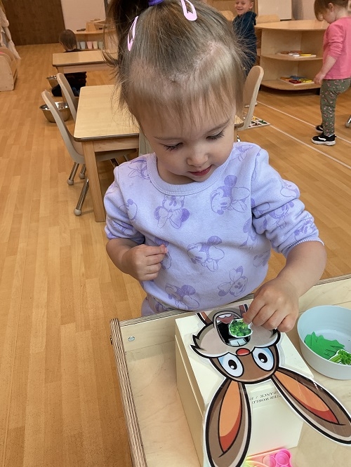 This month in Toddler 1 at RisingOaks Early Learning | St. Patrick, the children discovered baby bunnies outdoors and were excited to observe them while learning to keep a safe, quiet distance. Their interest continued through bunny-themed water painting and checking on the bunnies from the window. A feeding-the-bunny activity further extended their learning by encouraging caring behaviours, imagination, and fine motor skills. This experience supported empathy, creativity, language development, and a meaningful connection with nature.