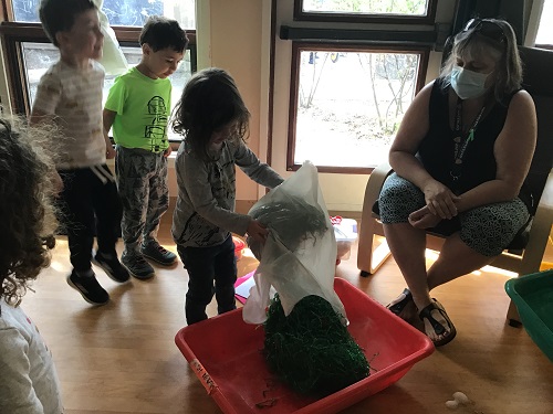 A preschooler is emptying a bag of Easter grass into a sensory bin as an educator and some other preschoolers look on.